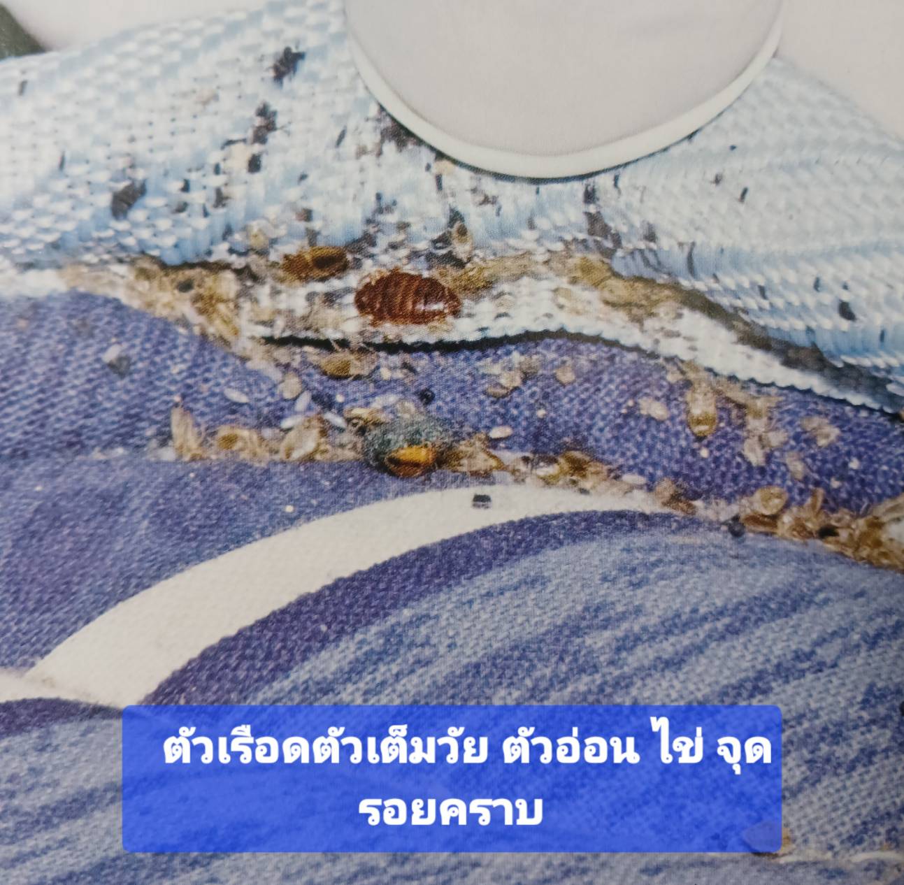 260525-143931-2.png (195 KB)